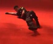 特衛風采之搏擊操